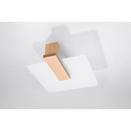 Плафон LAPPO 2xE27/15W/230V бежов