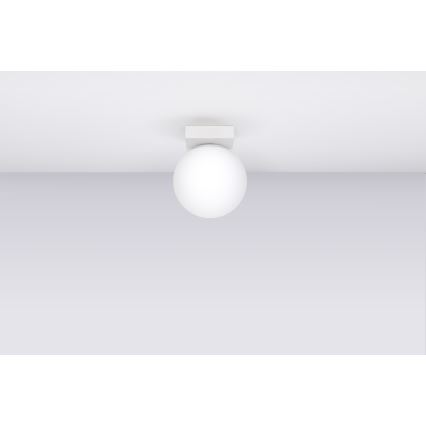 Плафониера YOLI 1xG9/12W/230V бял