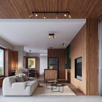 Спот аплик WINX 1xGU10/10W/230V черен/златист