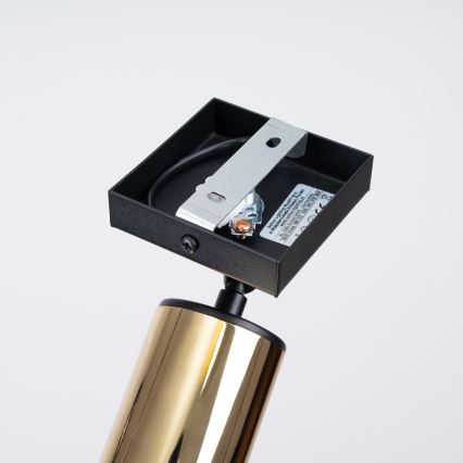 Спот аплик WINX 1xGU10/10W/230V черен/златист