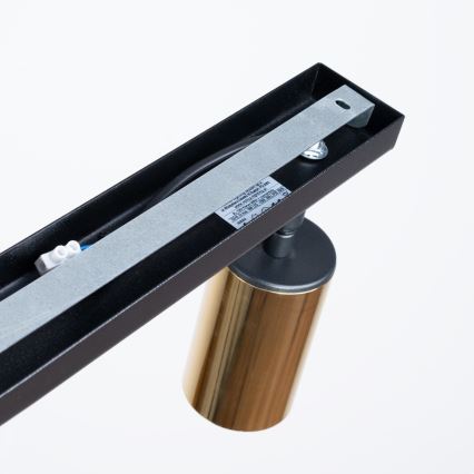 Спот WINX 2xGU10/10W/230V черен/златист