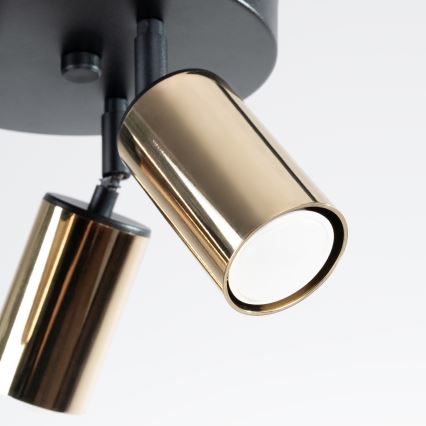 Спот WINX 3xGU10/10W/230V черен/златист