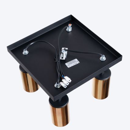 Спот WINX 4xGU10/10W/230V черен/златист