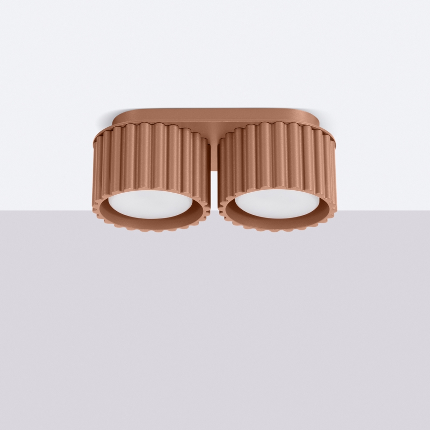 Точково осветително тяло AURA 2xGX53/10W/230V кафяво