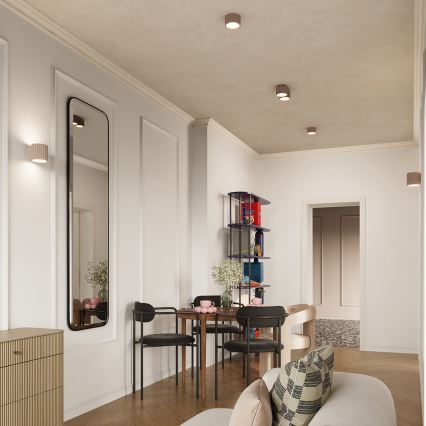 Точково осветително тяло AURA 1xGX53/10W/230V 6 см таупе