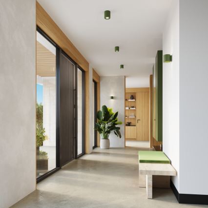 Точково осветително тяло ORBIS 1xGU10/10W/230V бетон/зелен