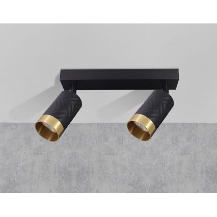 Спот ARRAS 2xGU10/10W/230V черен