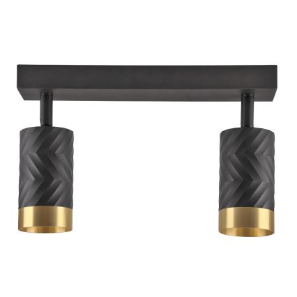 Спот ARRAS 2xGU10/10W/230V черен