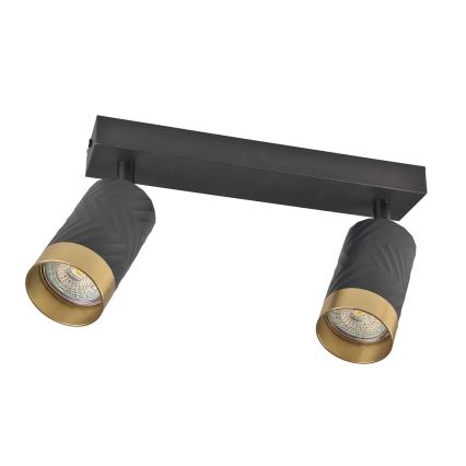 Спот ARRAS 2xGU10/10W/230V черен