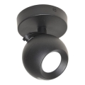 Спот COLM 1xGU10/30W/230V черен