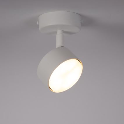 Спот NEMO 1xGX53/12W/230V бял