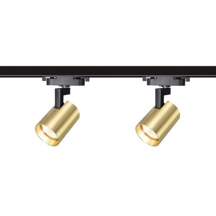 Спот в релсова система VOLF 4xGU10/10W/230V златист/черен