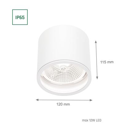 Спот за баня CHLOE AR111 1xGU10/12W/230V IP65 кръгла бял
