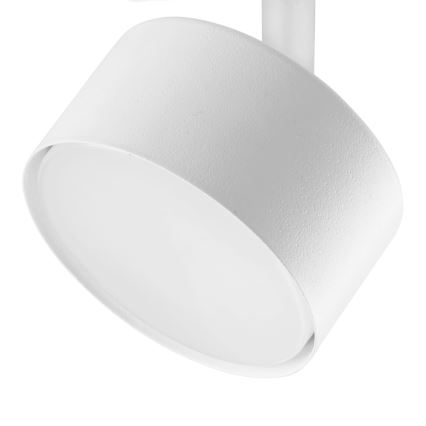 Спот за 1-фазна релсова система AVIA 1xGX53/15W/230V бял