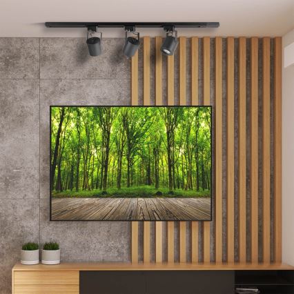 Спот за релсова система MINOR 1xGU10/10W/230V черен