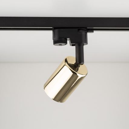 Спот за релсова система TOP 1xGU10/10W/230V златист/черен