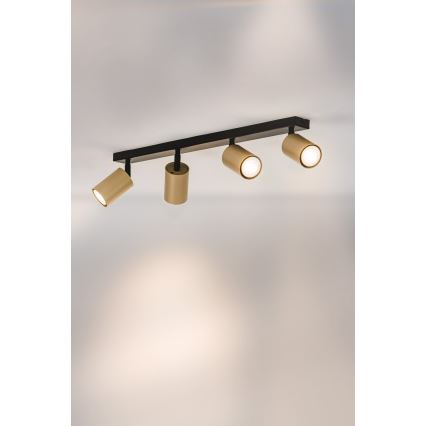 Спот ZOOM 4xGU10/25W/230V черен/златист