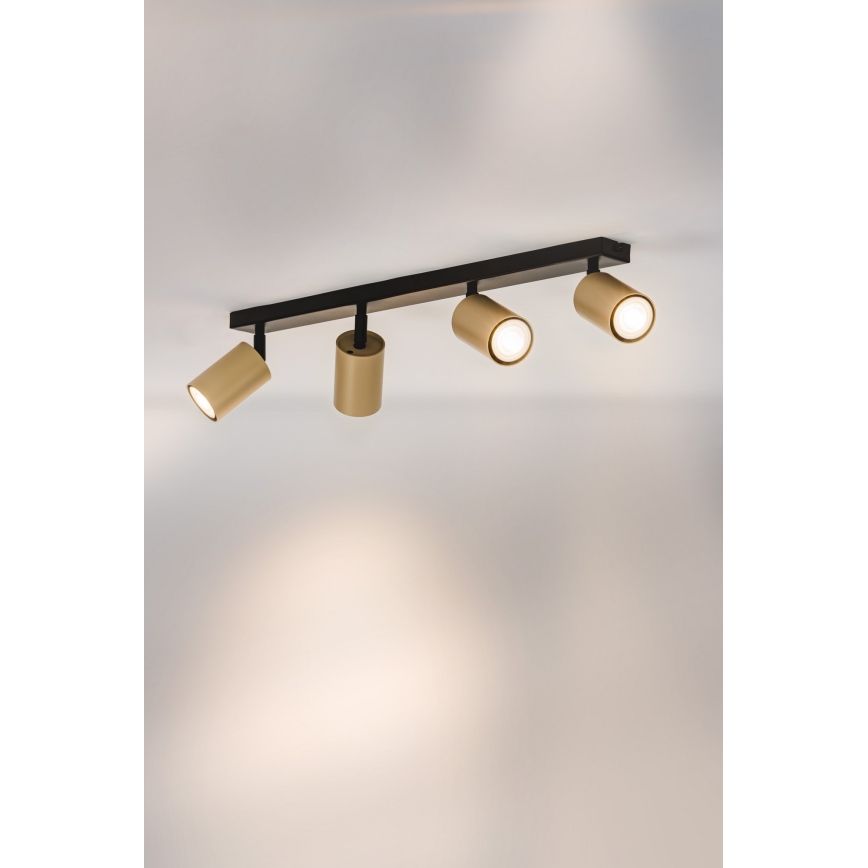 Спот ZOOM 4xGU10/25W/230V черен/златист