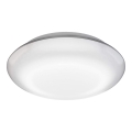 Steinel 035440 - LED Екстериорна лампа със сензор QUATTRO LED/10W/230V IP54