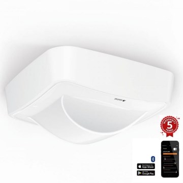 Steinel 058012 - Детектор за присъствие Hallway DALI-2 APC IP54 бял