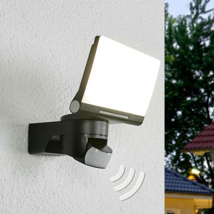 Steinel 065447 - LED Прожектор със сензор XLED HOME LED/13,5W/230V IP44 черен