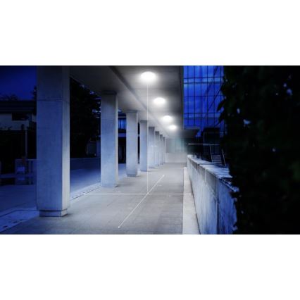 Steinel 068196 - LED Плафон за баня със сензор DL Vario Quattro PRO S LED/14W/230V 4000K IP54