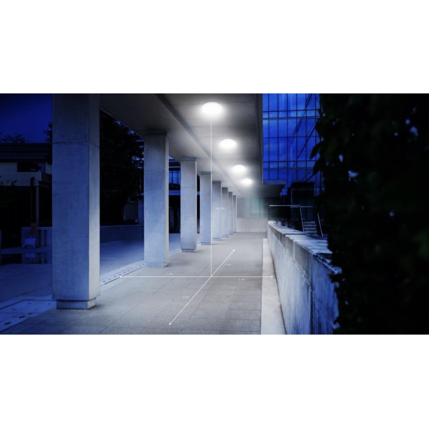 Steinel 068196 - LED Плафон за баня със сензор DL Vario Quattro PRO S LED/14W/230V 4000K IP54