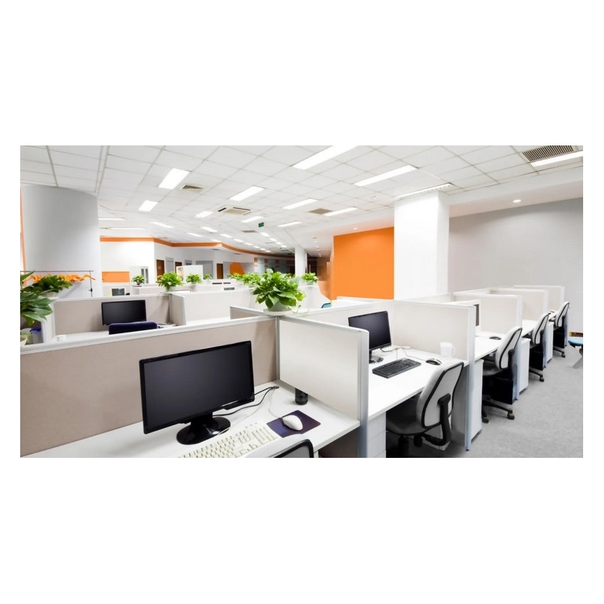 Steinel 079574 - Детектор за присъствие DualTech COM1 бял