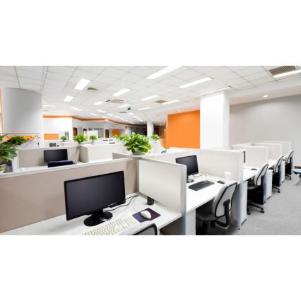 Steinel 079581 - Детектор за присъствие DualTech KNX бял