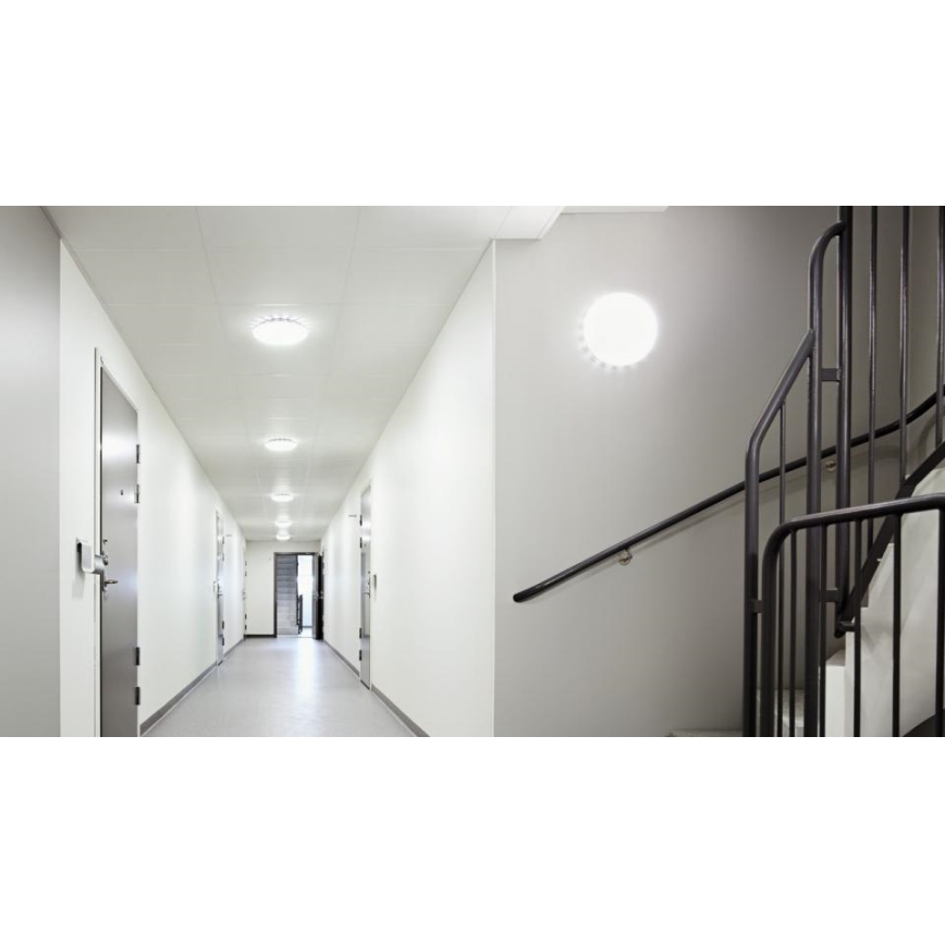Steinel 079710 - К-кт 5бр. LED плафон със сензор RS PRO S30 SC LED/25,7W/230V 4000K