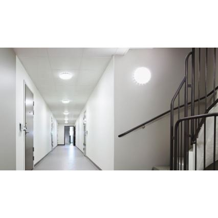 Steinel 081072 - LED Лампа със сензор RS PRO S10 SC LED/9,1W/230V 4000K