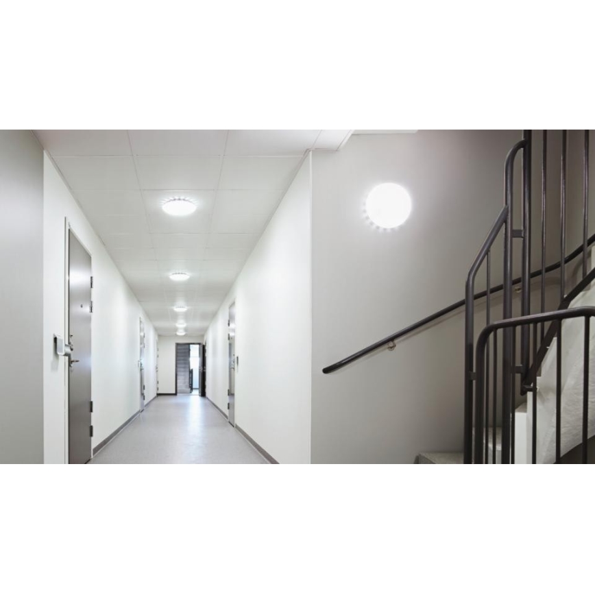 Steinel 081072 - LED Лампа със сензор RS PRO S10 SC LED/9,1W/230V 4000K