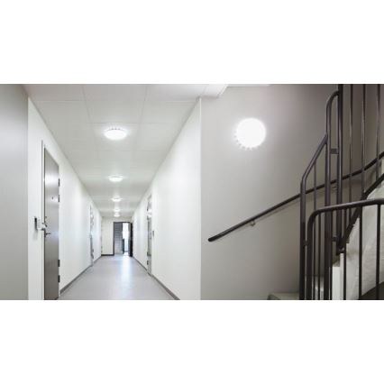 Steinel 081928 - К-кт 5бр. LED плафон със сензор RS PRO S10 SC LED/9,1W/230V 4000K
