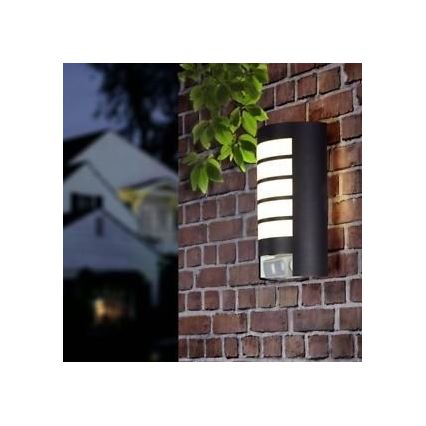 STEINEL 657819 - Екстериорен аплик със сензор L12 1xE27/60W/230V IP44