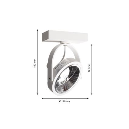 Стенен спот LUGAR 1xAR111 - GU10/25W/230V