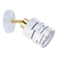 Стенно спот осветително тяло ELEN 1xE27/35W/230V бяло/златисто