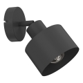 Стенно точково осветително тяло PARKLA 1xE27/15W/230V черно