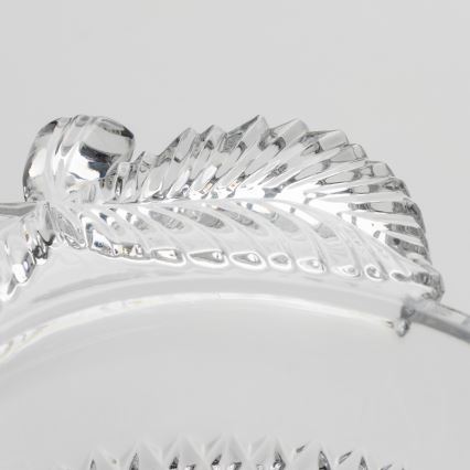 Стъклена купа слива прозрачен