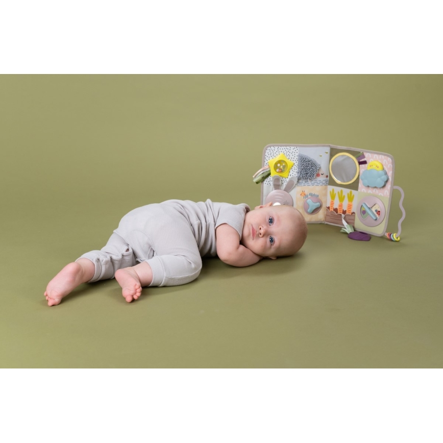 Taf Toys - Център за игра за детско креватче с мелодия Градина 3xAAA