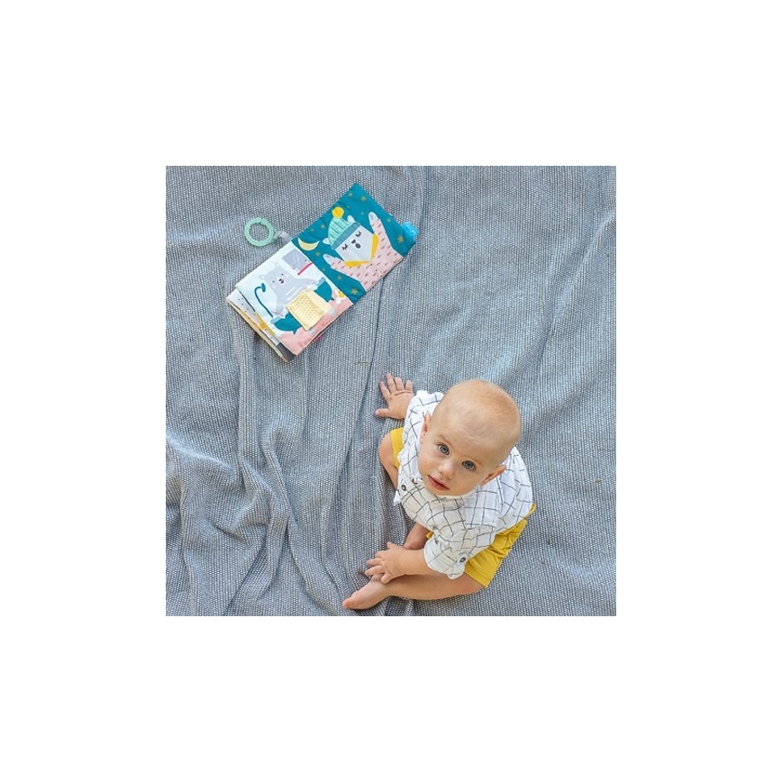 Taf Toys - Детска текстилна книга мече