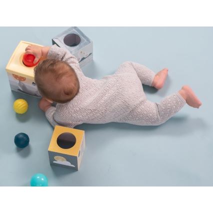Taf Toys - Интерактивен комплект за игра Северен полюс