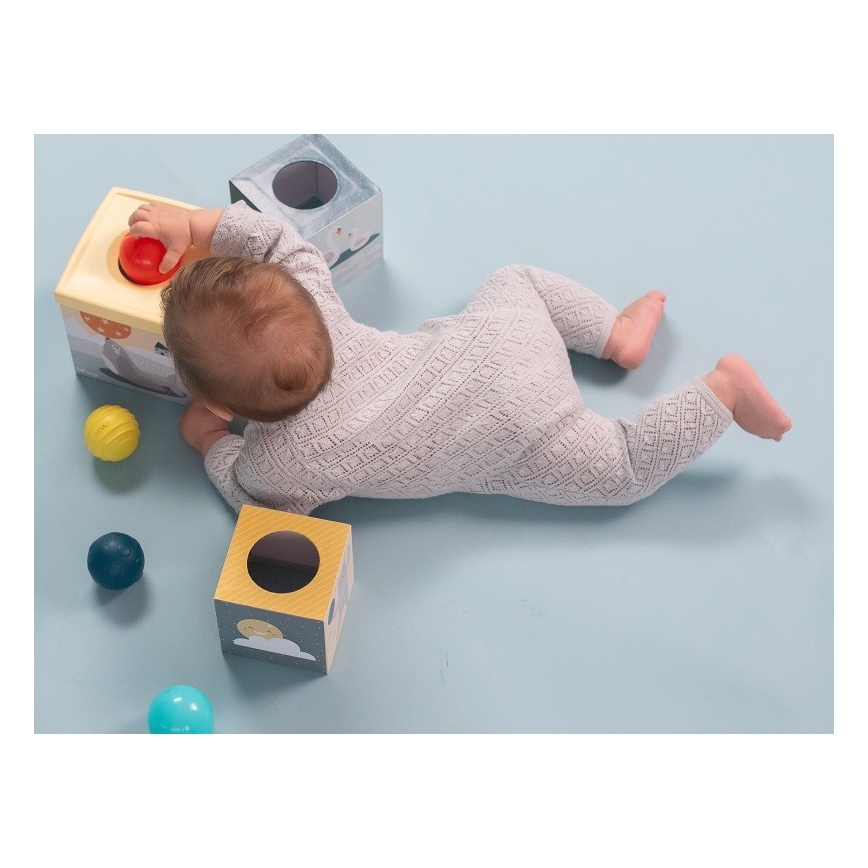 Taf Toys - Интерактивен комплект за игра Северен полюс