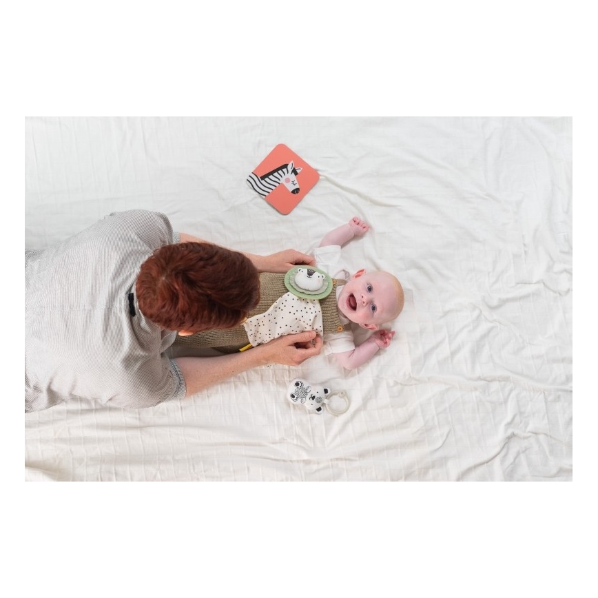 Taf Toys - Подаръчна кутия HELLO BABY