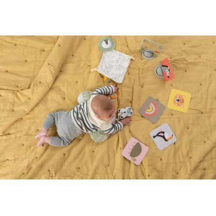 Taf Toys - Подаръчна кутия HELLO BABY