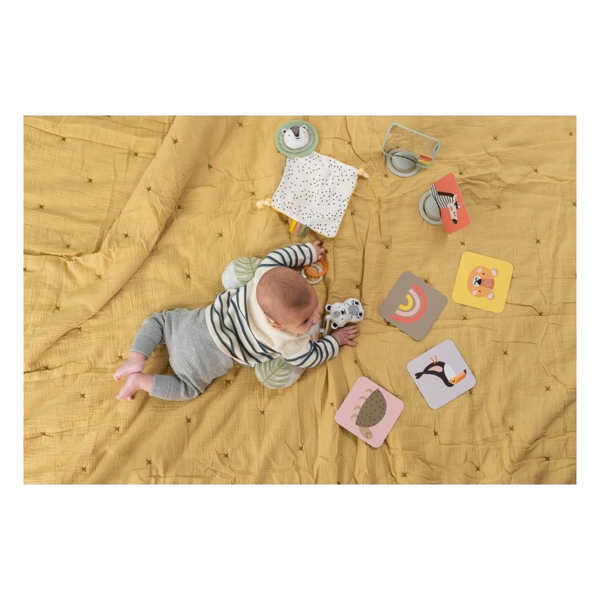 Taf Toys - Подаръчна кутия HELLO BABY
