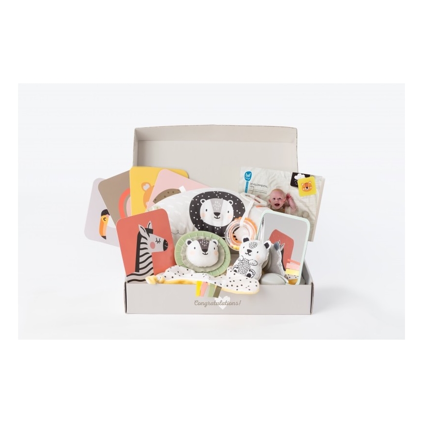 Taf Toys - Подаръчна кутия HELLO BABY