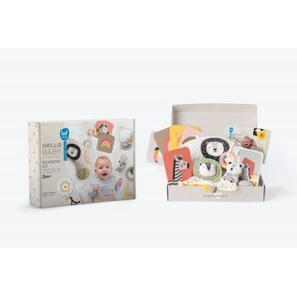 Taf Toys - Подаръчна кутия HELLO BABY