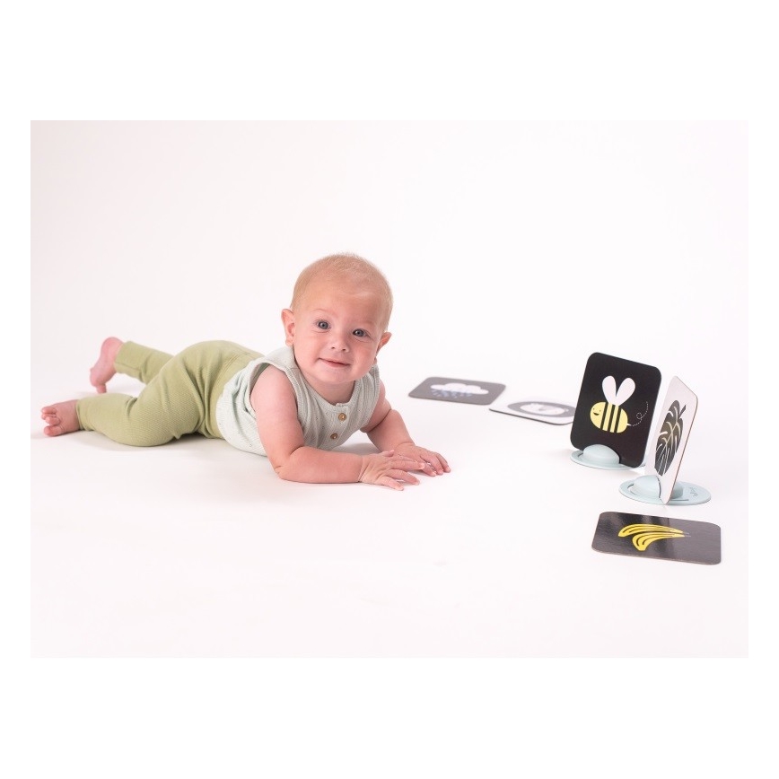 Taf Toys - Карти за игра по корем 18 бр.