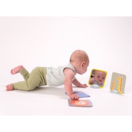 Taf Toys - Карти за игра по корем 18 бр.