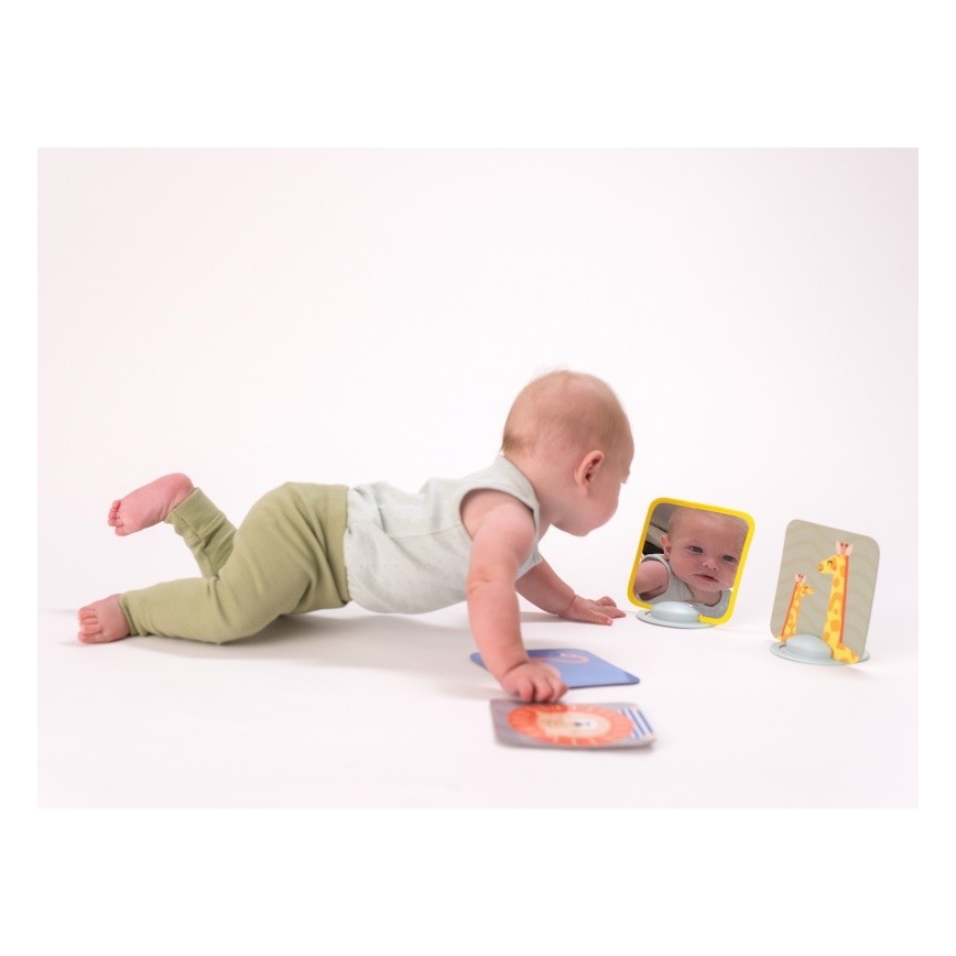 Taf Toys - Карти за игра по корем 18 бр.